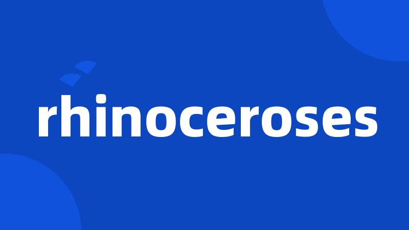 rhinoceroses