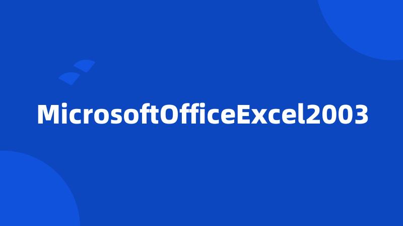 MicrosoftOfficeExcel2003