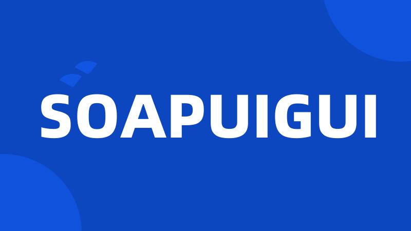 SOAPUIGUI