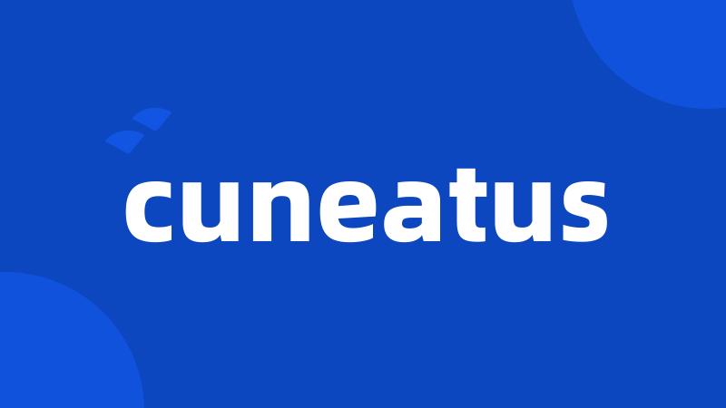 cuneatus