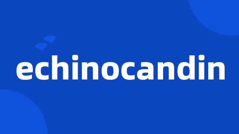 echinocandin