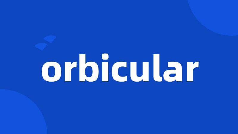 orbicular