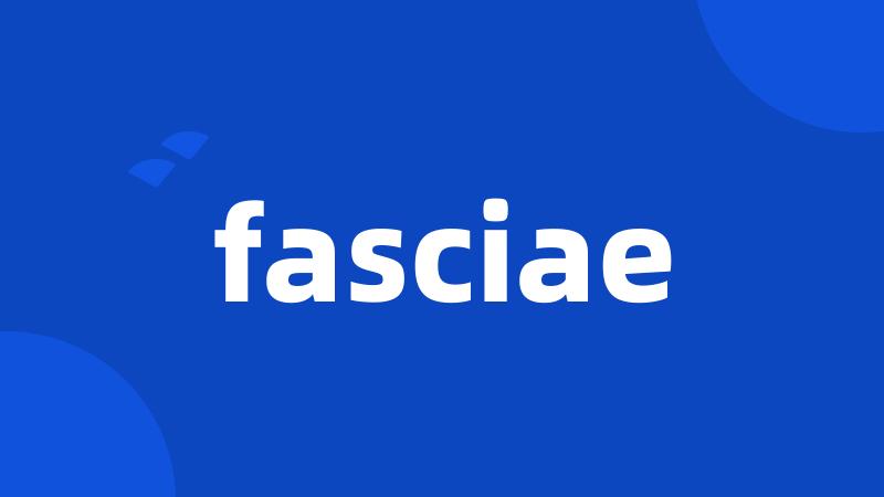 fasciae