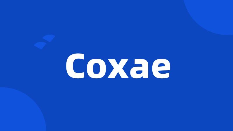 Coxae