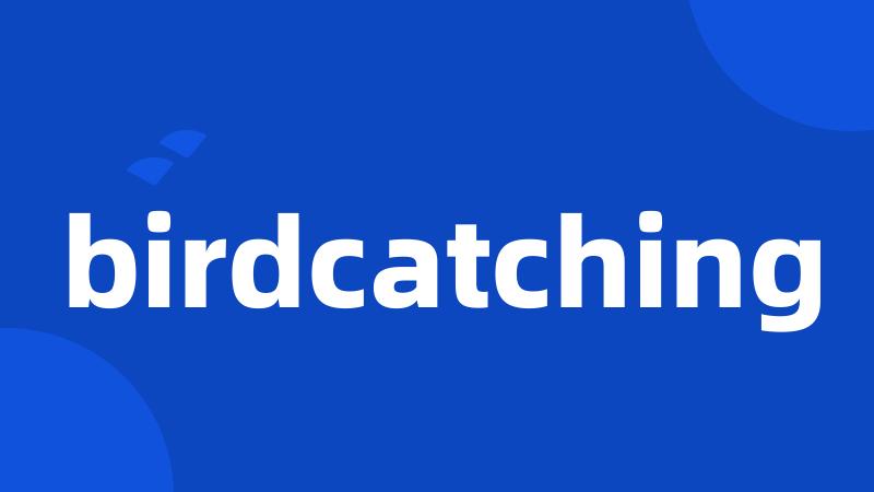 birdcatching