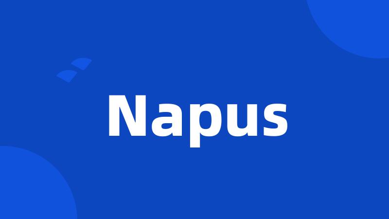 Napus