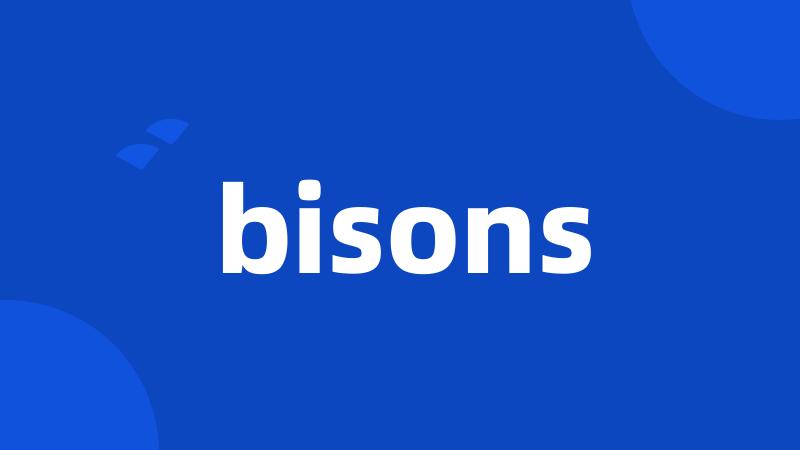 bisons