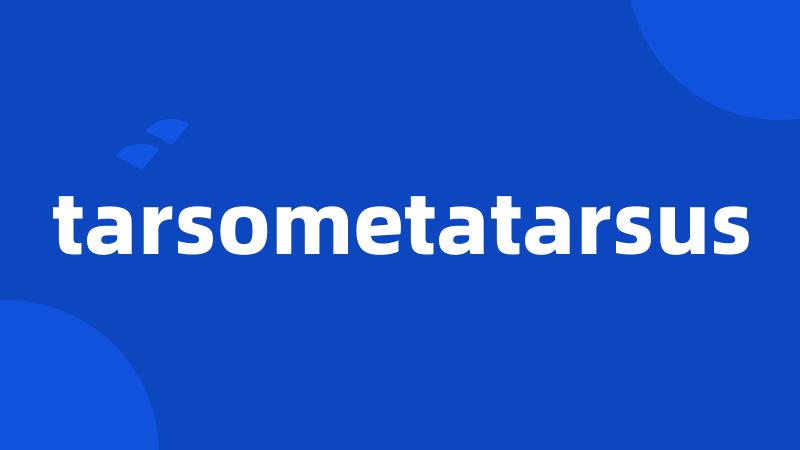 tarsometatarsus