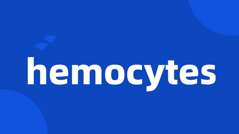 hemocytes