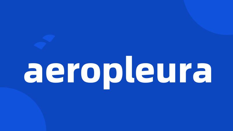 aeropleura