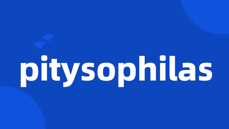 pitysophilas