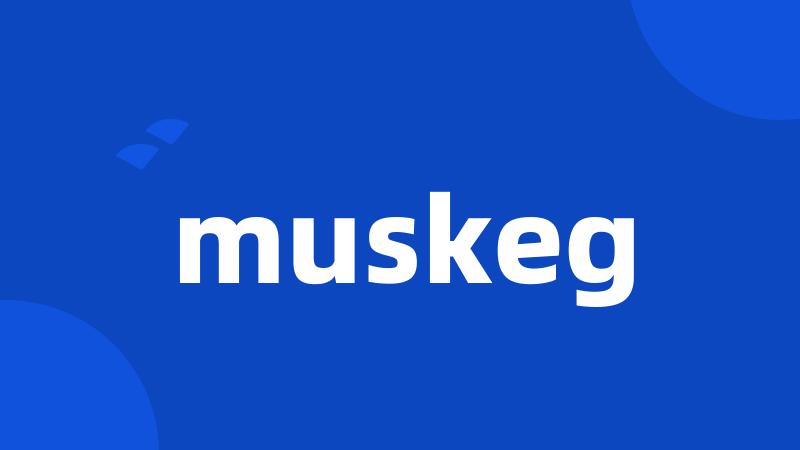 muskeg