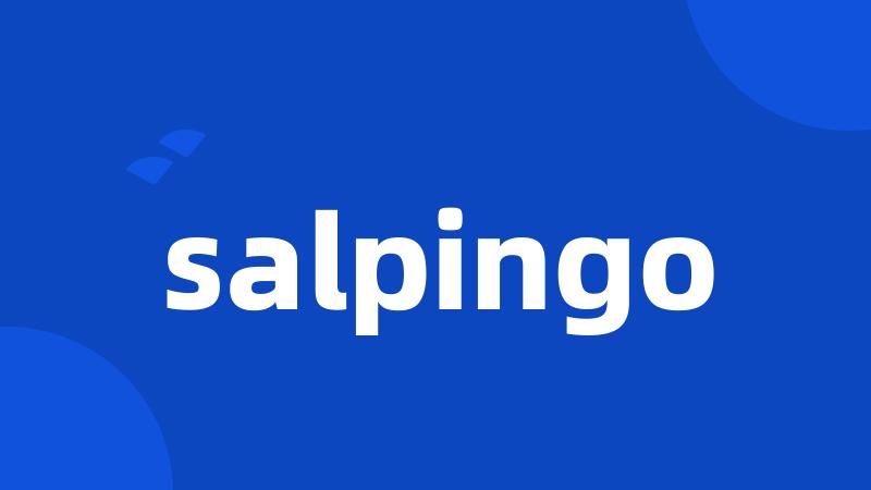 salpingo