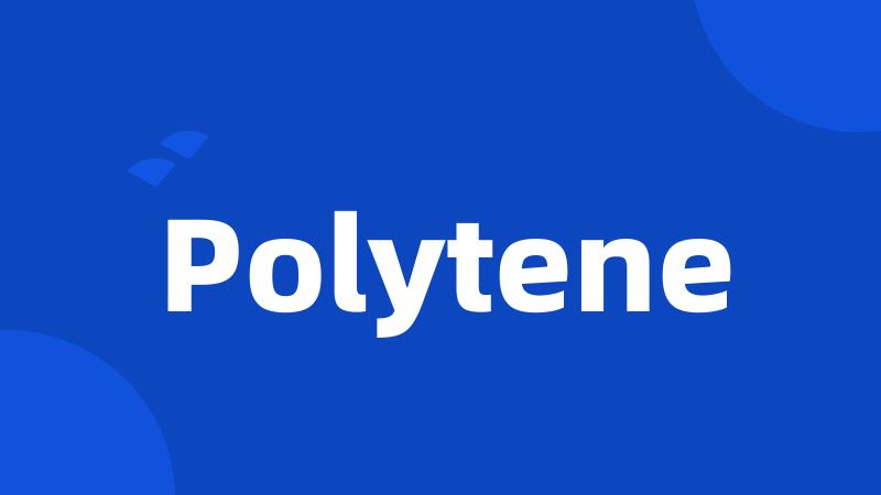 Polytene