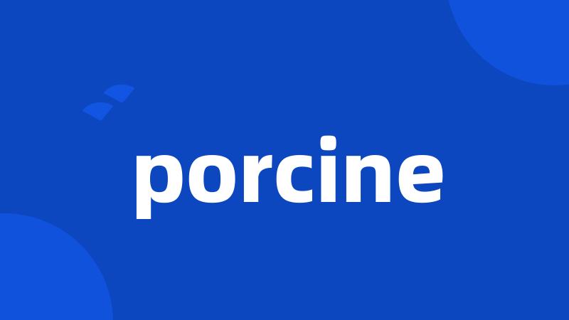 porcine