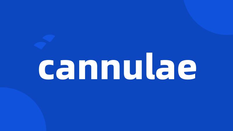 cannulae