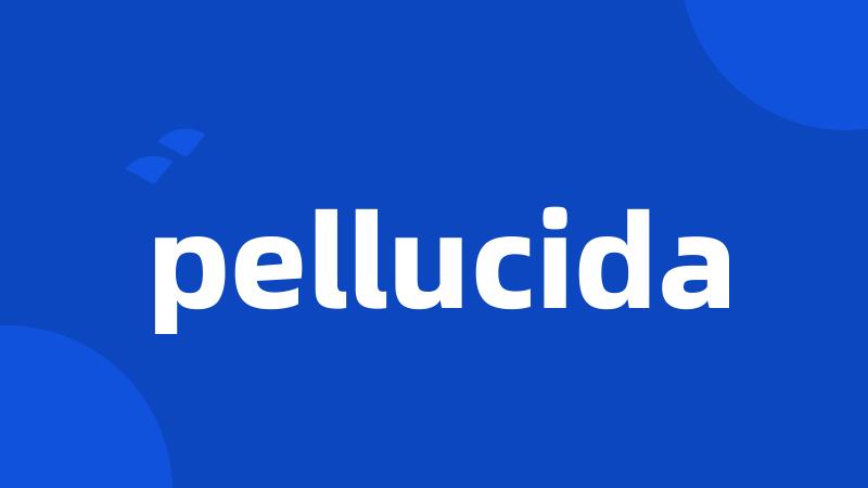 pellucida