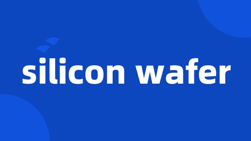 silicon wafer