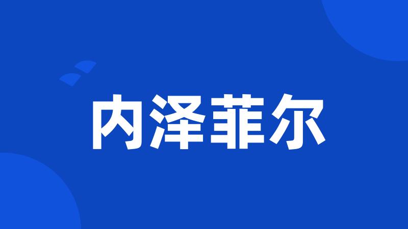 内泽菲尔