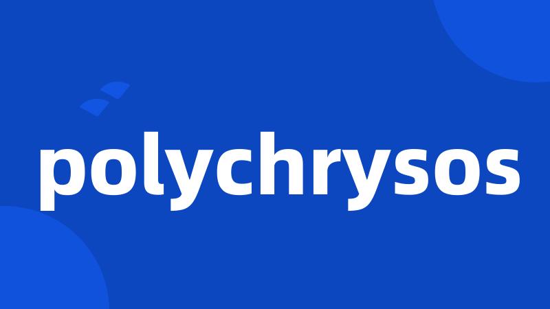 polychrysos