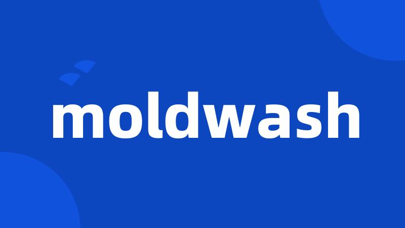 moldwash