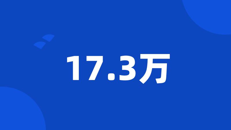 17.3万