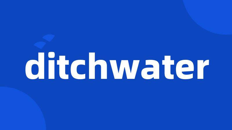 ditchwater