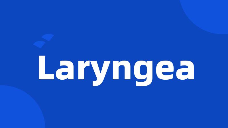 Laryngea