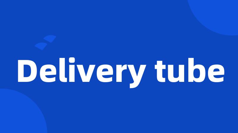 Delivery tube