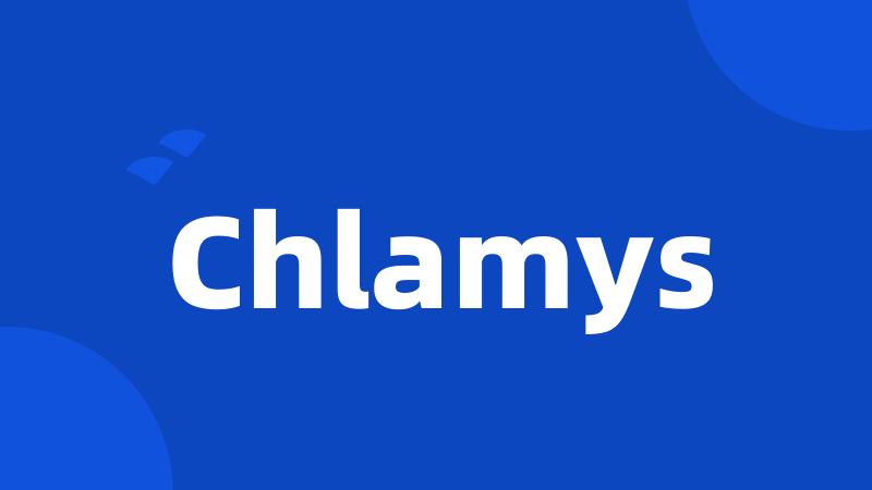 Chlamys