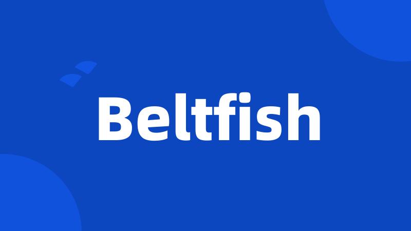 Beltfish