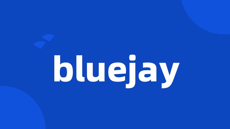 bluejay