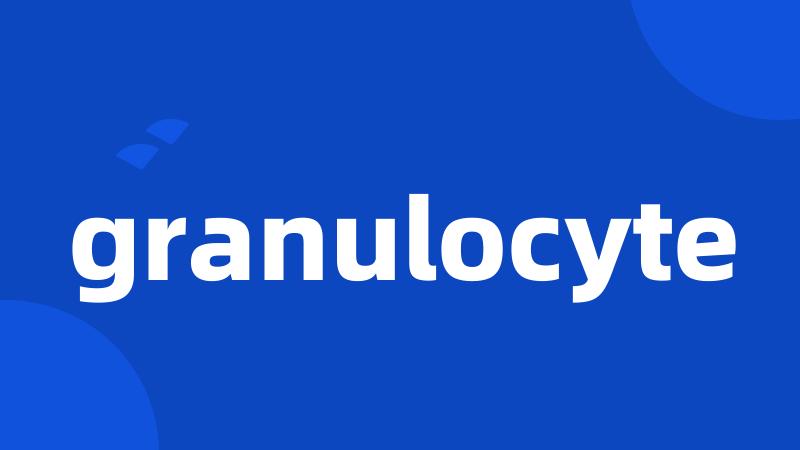 granulocyte