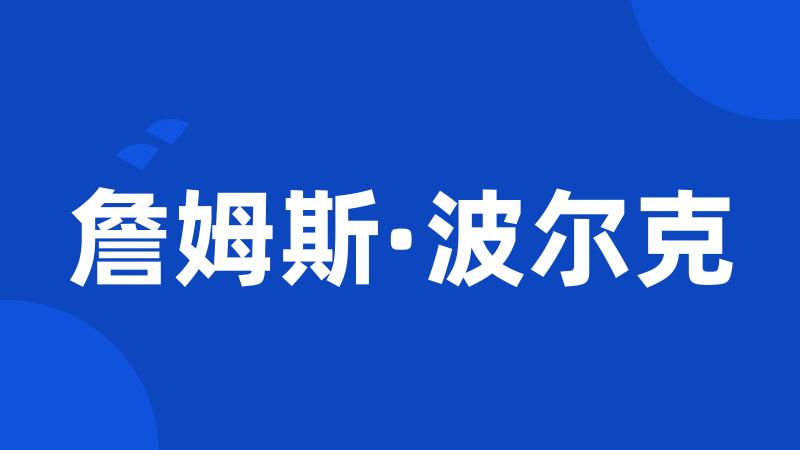 詹姆斯·波尔克