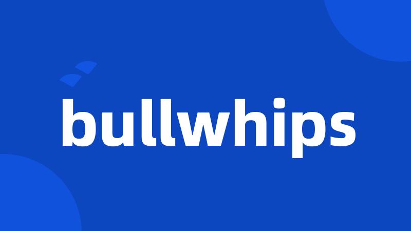 bullwhips