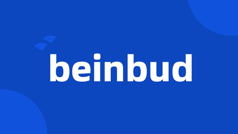 beinbud