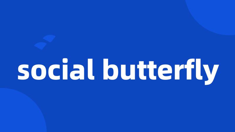 social butterfly