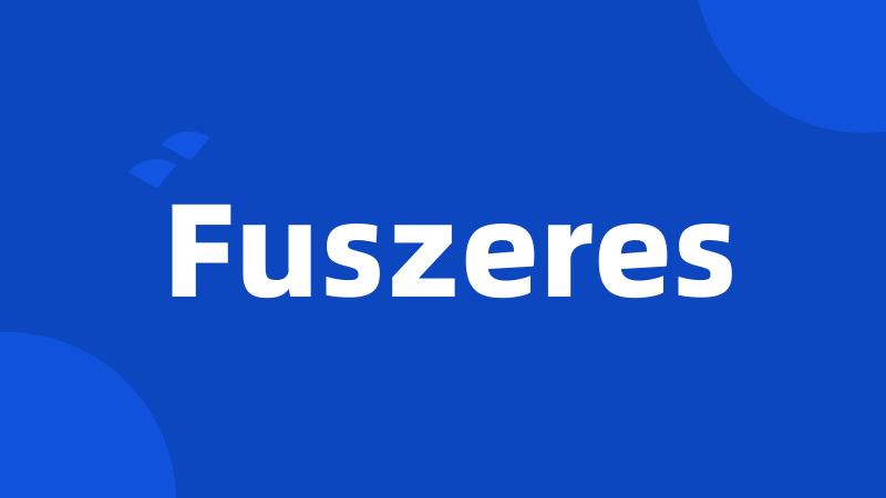 Fuszeres