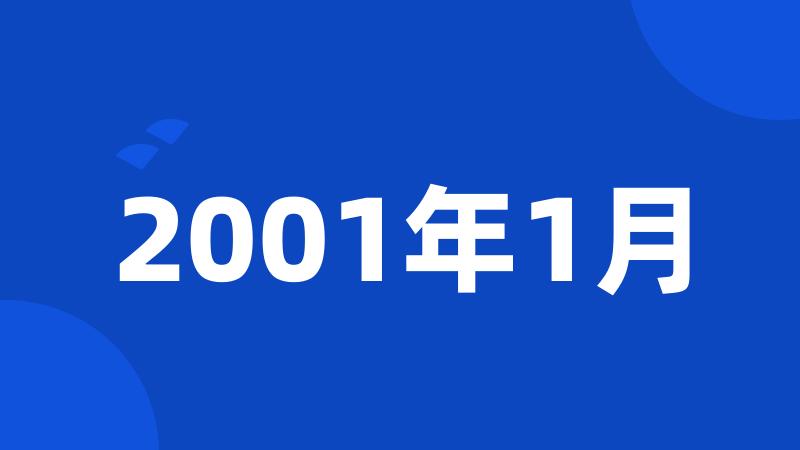 2001年1月