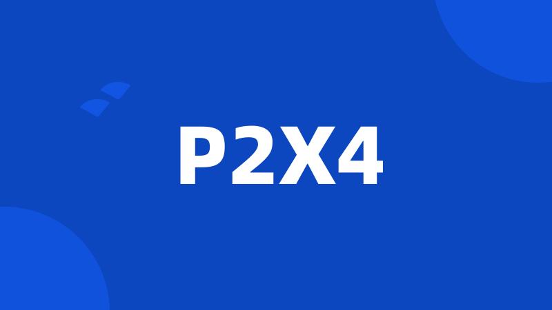 P2X4