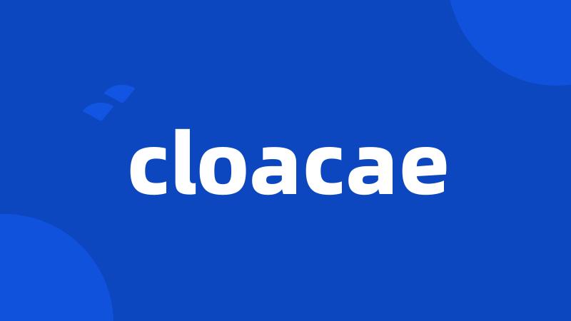 cloacae