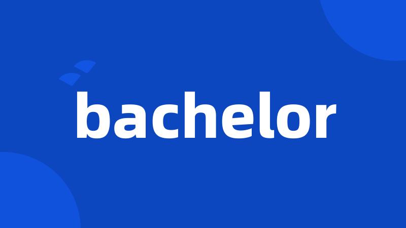 bachelor