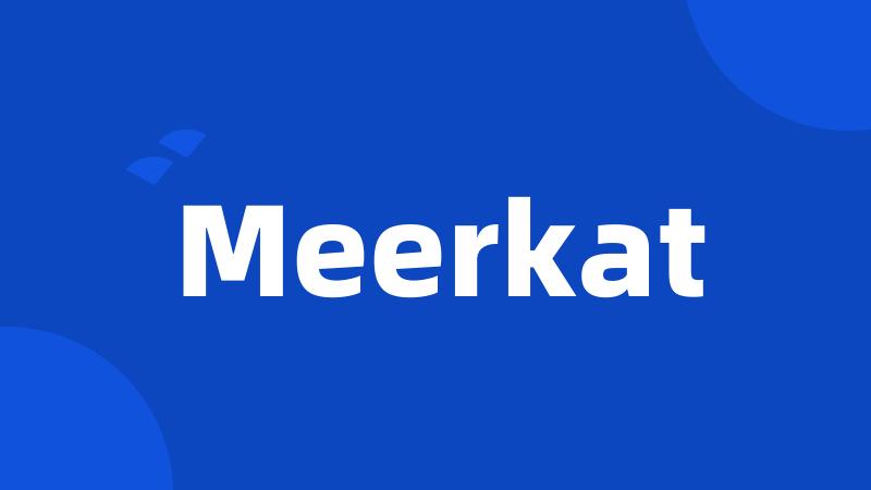 Meerkat