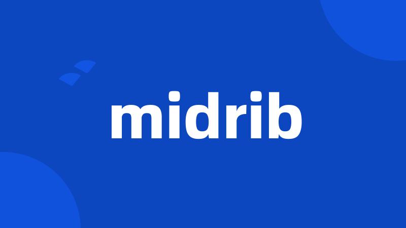 midrib