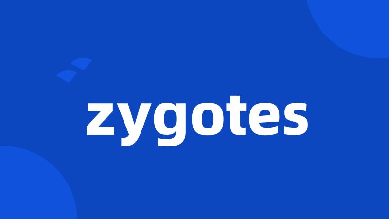 zygotes