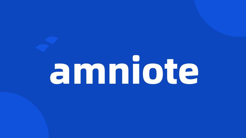 amniote