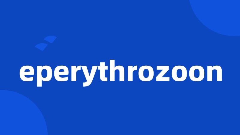 eperythrozoon