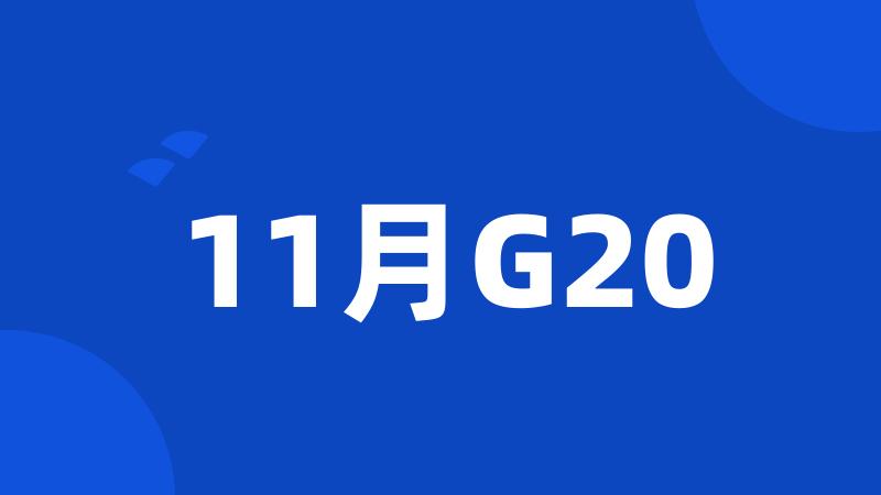 11月G20