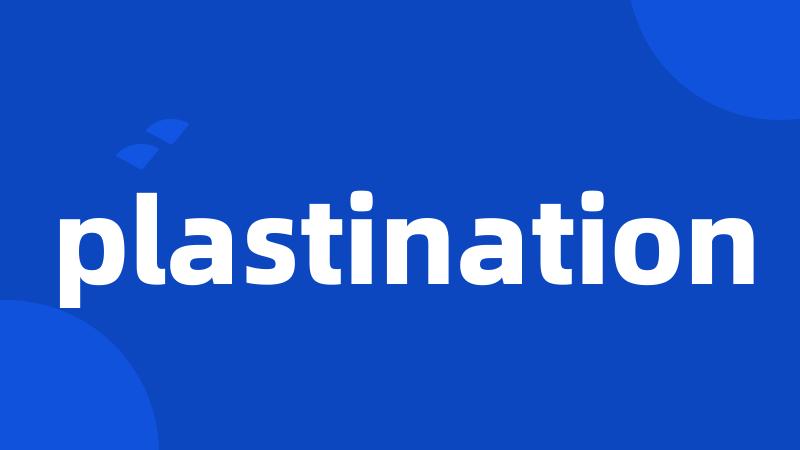 plastination