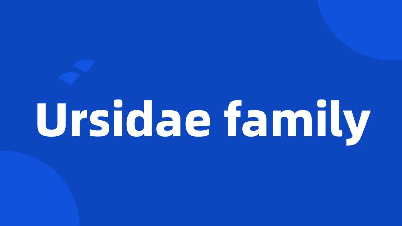 Ursidae family